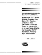 AWS B2.1-1-234
