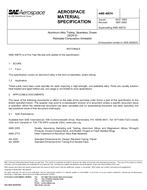 SAE AMS4087H