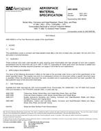 SAE AMS5605E