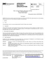 SAE AMS5513J