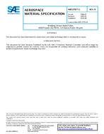 SAE AMS3795/1B