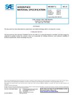 SAE AMS3903/1B