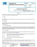 SAE AMS4329B
